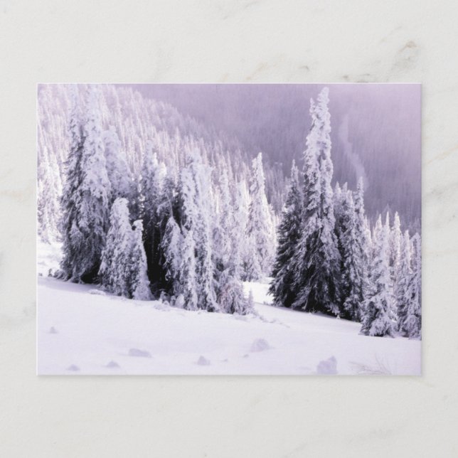 Winterszene Postkarte (Vorderseite)