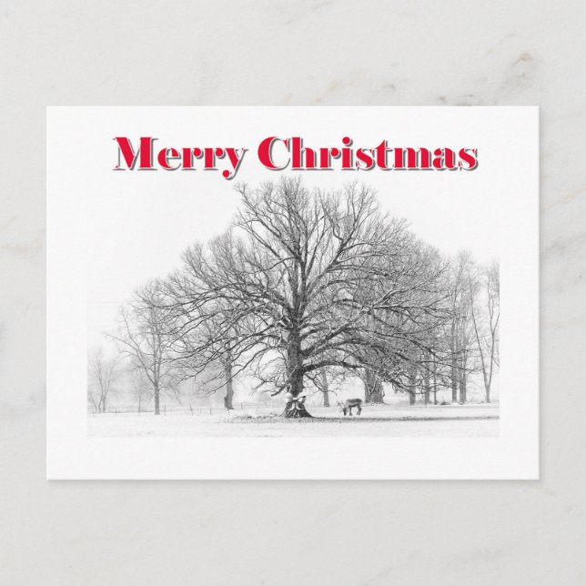 Winterszene Weihnachtskarte (Postkarte) Feiertagspostkarte (Vorderseite)