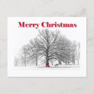 Winterszene Weihnachtskarte (Postkarte) Feiertagspostkarte