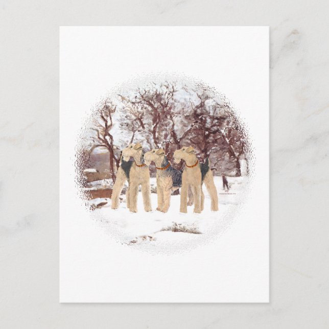 Wintertag Postkarte (Vorderseite)