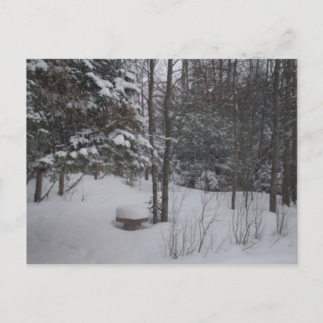 Wintertag Postkarte (Vorderseite)