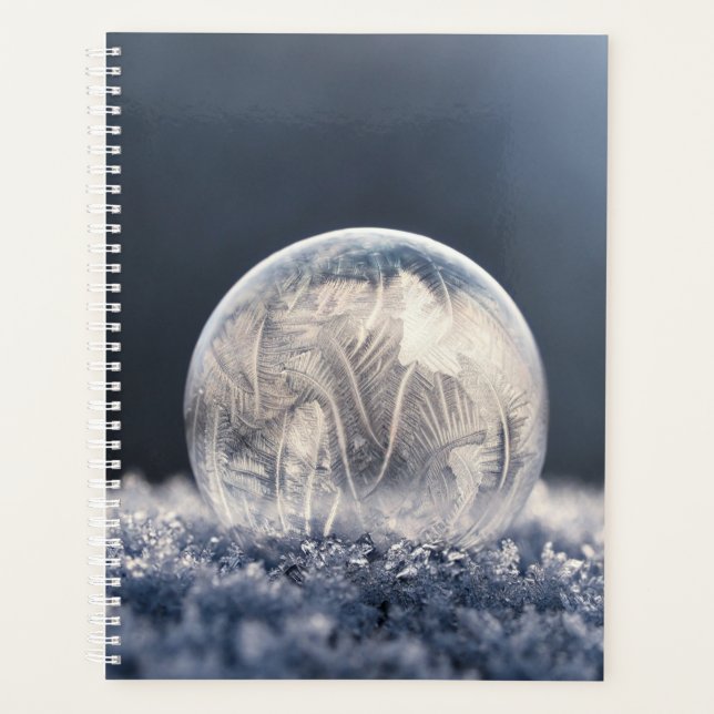 Wintertaufe 87 planer (Vorderseite)