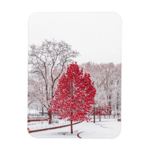 Wintertaufe 89 magnet