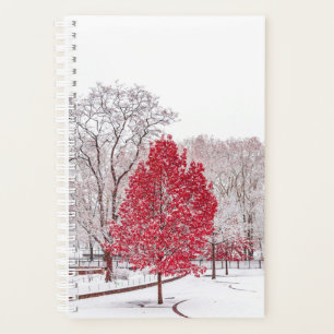Wintertaufe 89 planer