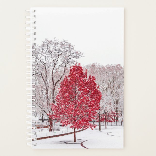 Wintertaufe 89 planer (Vorderseite)