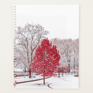 Wintertaufe 89 planer