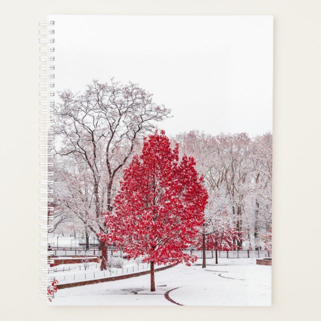 Wintertaufe 89 planer (Vorderseite)