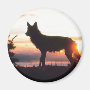 Wintertierische Silhouette Magnet