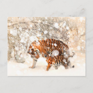 Wintertiger Postkarte