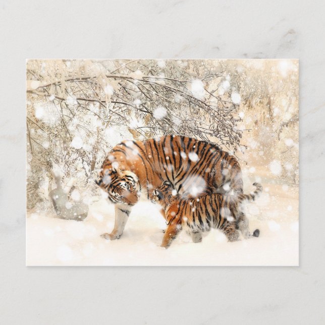 Wintertiger Postkarte (Vorderseite)