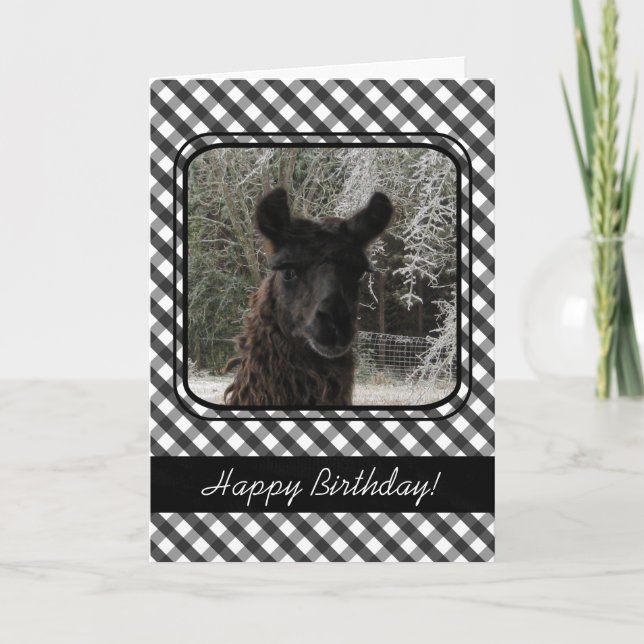 Wintertime Llama and Black Gingham Karte (Vorderseite)