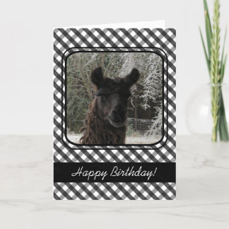 Wintertime Llama and Black Gingham Karte