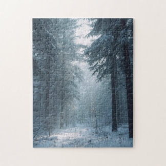 Wintertime Scene in the Forest