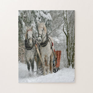 Wintertime Sleigh Ride