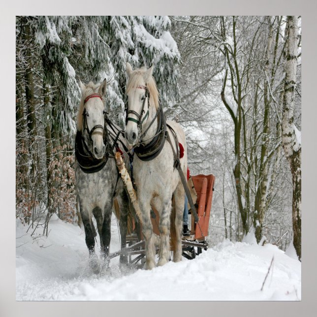 Wintertime Sleigh Ride Poster (Vorne)