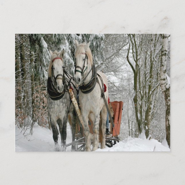 Wintertime Sleigh Ride Postkarte (Vorderseite)