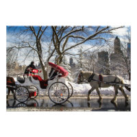 Wintertransporte im Zentralpark