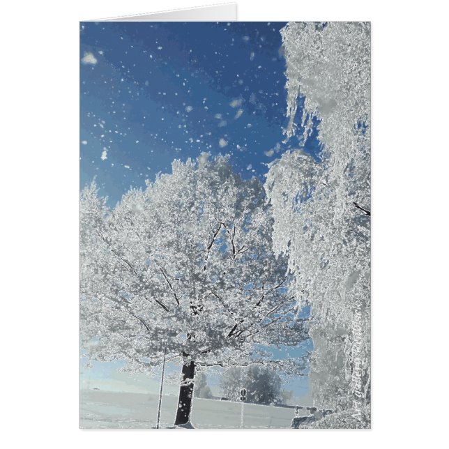Wintertraum Winterland Schnee Baum (Vorne)