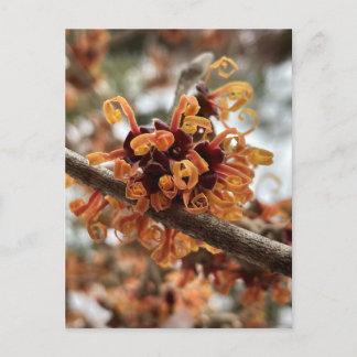 Winterurlaub Postkarte