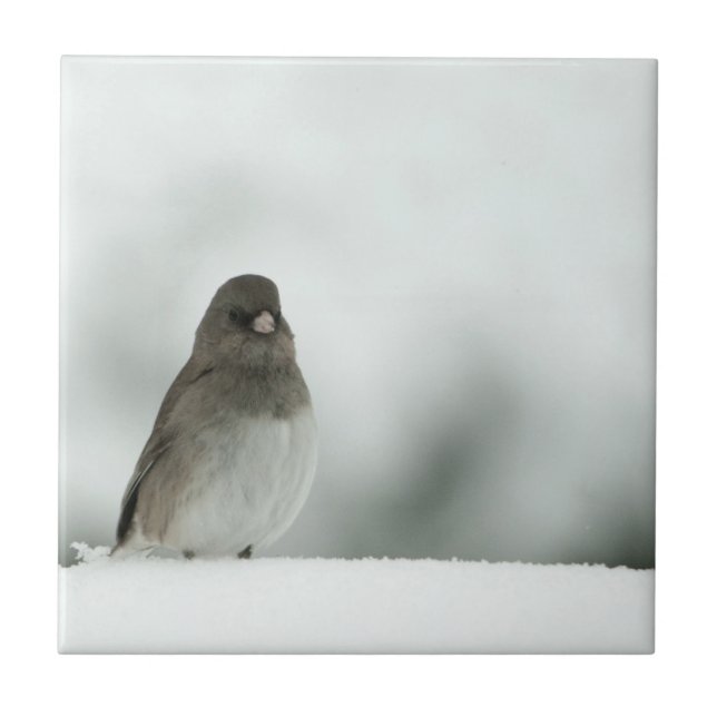 Wintervogel Fliese (Vorderseite)
