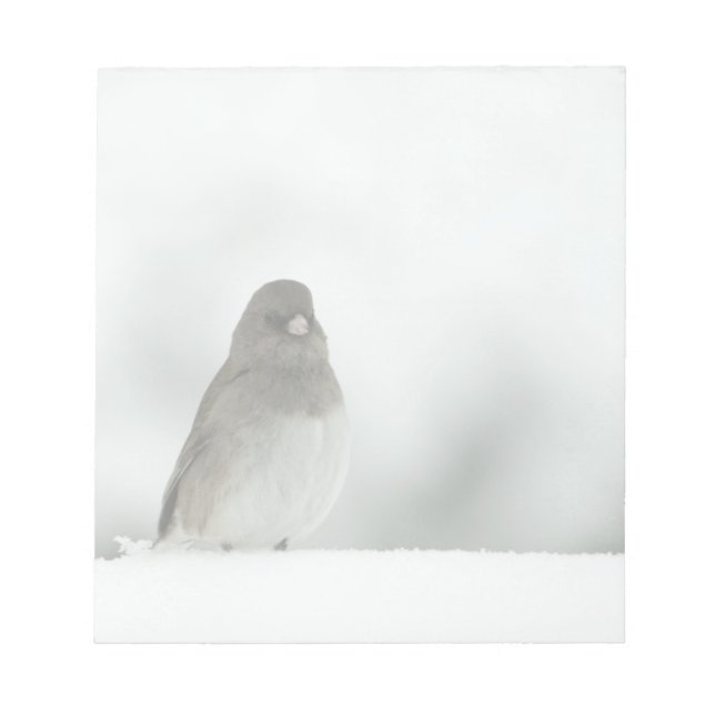 Wintervogel Notizblock (Vorderseite)