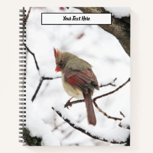 Wintervögel Notizbuch