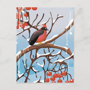 Wintervogel Postkarte