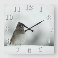 Wintervogel