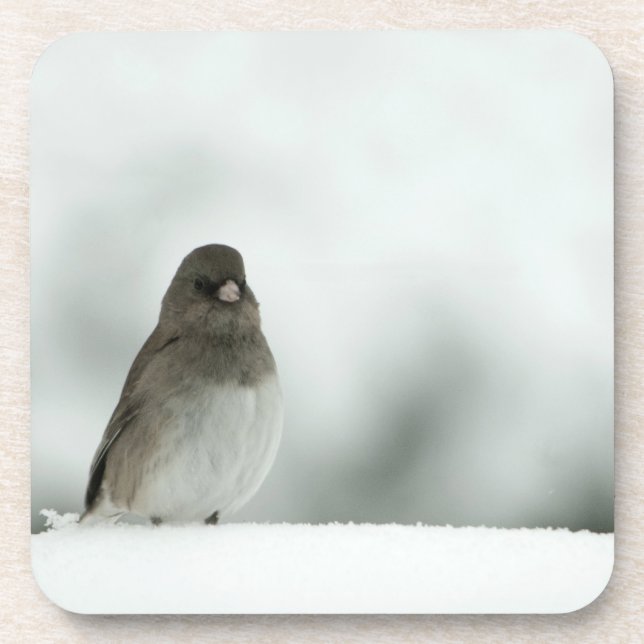 Wintervogel Untersetzer (Vorderseite)