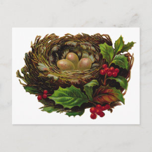 Wintervogelnest Postkarte