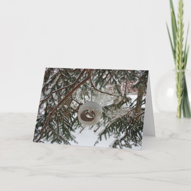 Wintervogelzuführungskarte Feiertagskarte (Vorderseite)