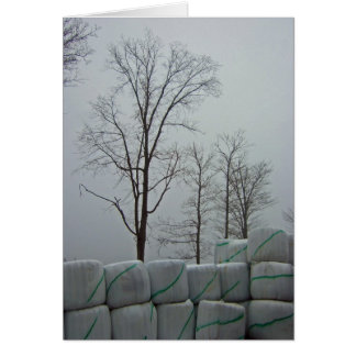 Wintervormittag 12x18