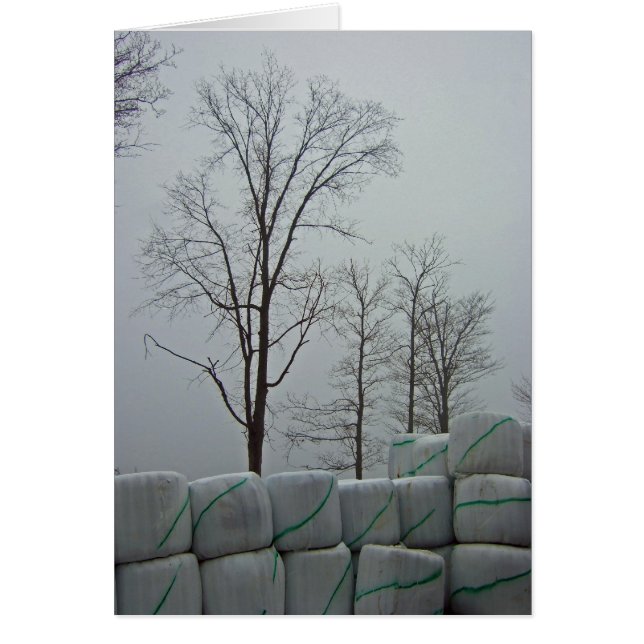 Wintervormittag 12x18 (Vorne)