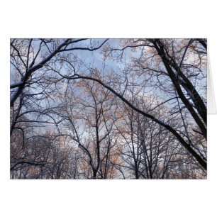 Wintervormittag II Naturlandschaft