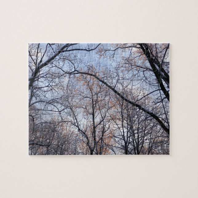 Wintervormittag II Naturlandschaft (Horizontal)