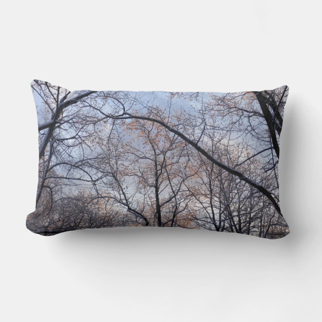 Wintervormittag II Naturlandschaft Lendenkissen (Vorderseite)
