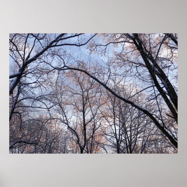 Wintervormittag II Naturlandschaft Poster (Vorne)
