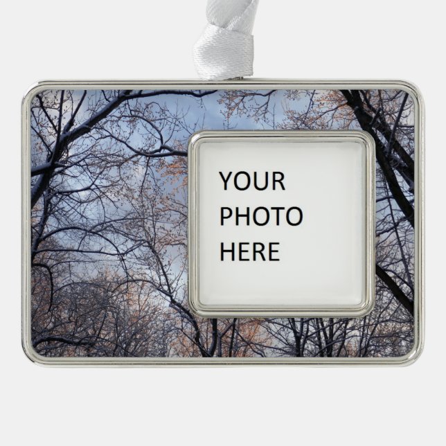 Wintervormittag II Naturlandschaft Rahmen-Ornament Silber (Vorderseite)