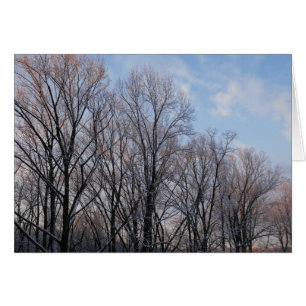 Wintervormittag III Naturlandschaft