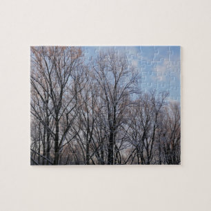 Wintervormittag III Naturlandschaft