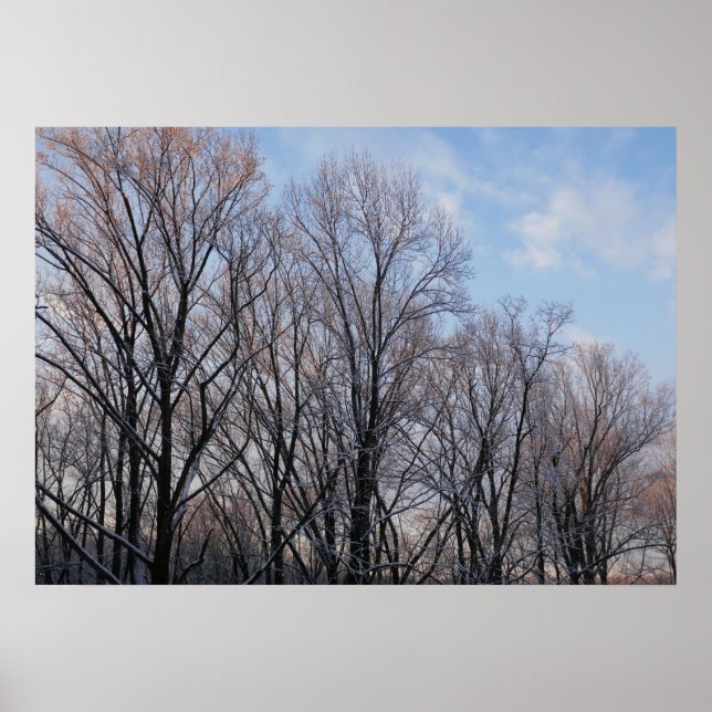 Wintervormittag III Naturlandschaft Poster (Vorne)
