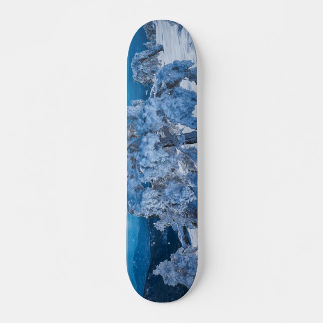 Wintervormittag im Feld Skateboard (Vorne)