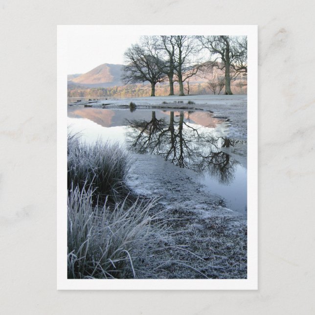 Wintervormittag: Strandshag Bay, Derwentwater Postkarte (Vorderseite)
