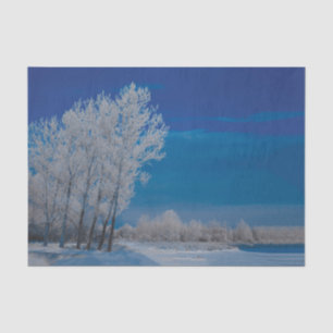 Winterwald Bäume Schnee Blauer Himmel Natur Seidenpapier