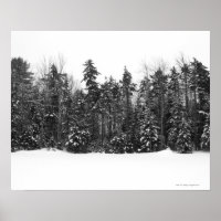 Winterwald bedeckt mit fallendem Schnee