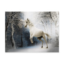 Winterwald des Weißen Pferdes Postüberquerung