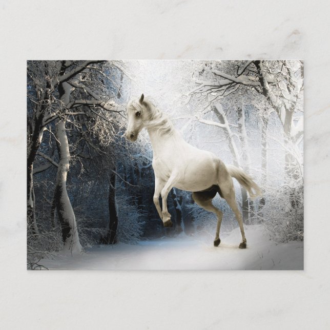 Winterwald des Weißen Pferdes Postüberquerung Postkarte (Vorderseite)