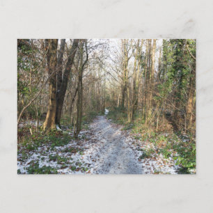Winterwald in Arnside Postkarte