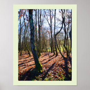 Winterwald in Frankreich Poster