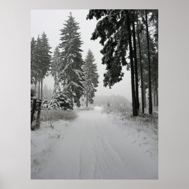winterwald poster (Vorne)